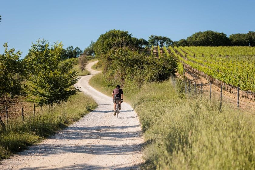 The Tuscany Trail 2026